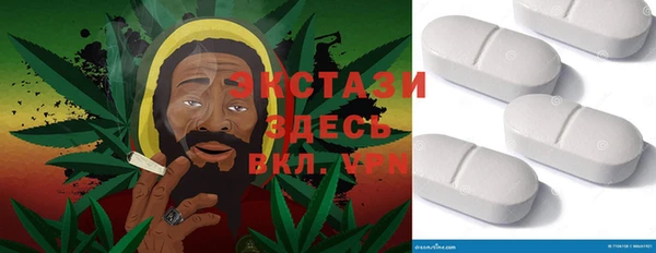 хмурый Алексин