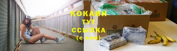мяу мяу мука Алзамай