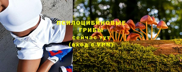 мяу мяу мука Алзамай