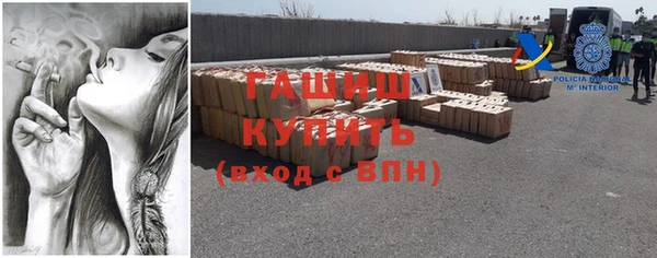 хмурый Алексин