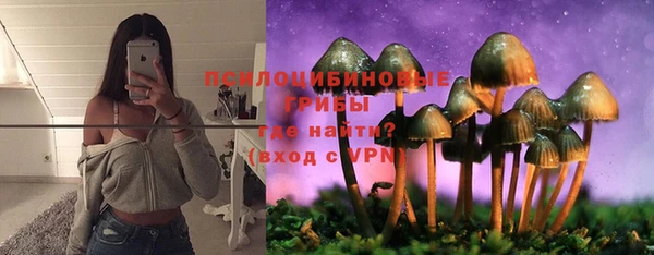 хмурый Алексин